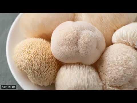Functional Mushrooms Explained: A Complete Research Overview